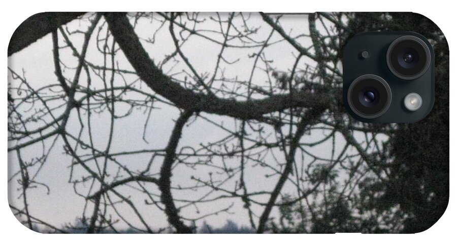 Tree iPhone Case featuring the photograph Spider Tree by David Trotter