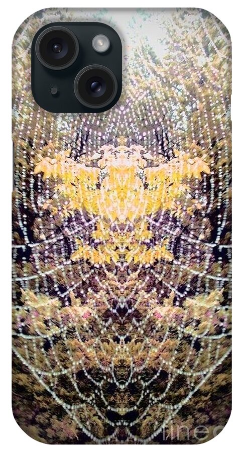 Spider Web iPhone Case featuring the photograph Spider Web 2 by Karen Newell