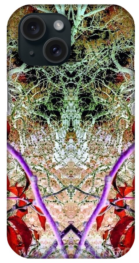 Spider Web iPhone Case featuring the photograph Spider Web 3 by Karen Newell