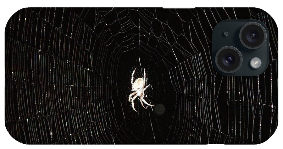 Spider iPhone Case featuring the photograph Spider Web by Chris Montcalmo