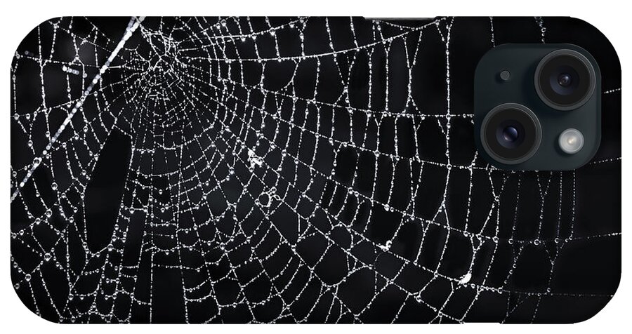 Web iPhone Case featuring the photograph Spiderweb with dew by Elena Elisseeva