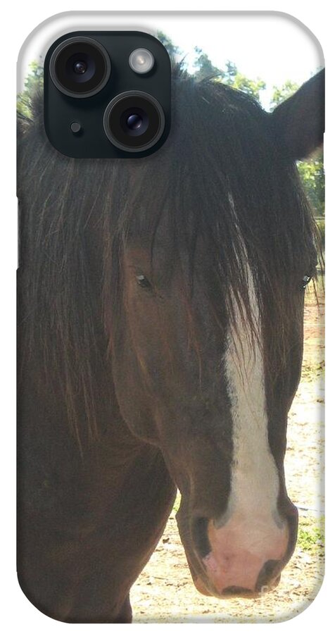 Horse iPhone Case featuring the photograph Spirit by Wendy Coulson