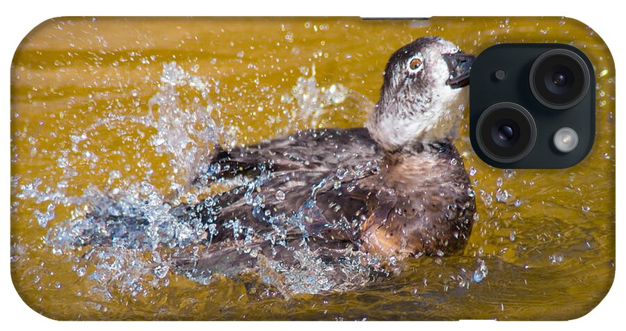 Bird iPhone Case featuring the photograph Splishin' N Splashin' by Bill Pevlor
