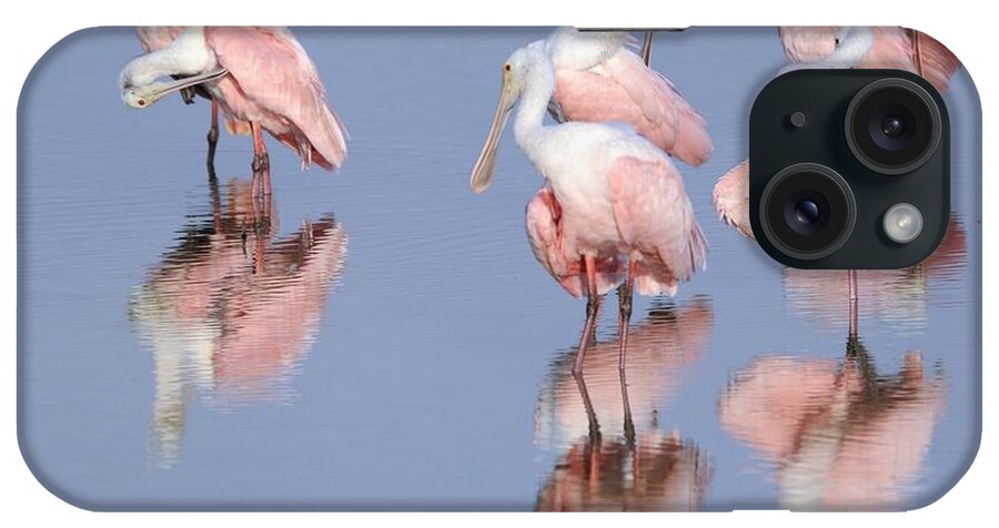 Roseate Spoonbills iPhone Case featuring the photograph Spoonbills Preening by Bradford Martin