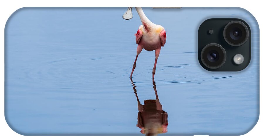 Roseate Spoonbill iPhone Case featuring the photograph Spoonie Striking a Pose by John M Bailey
