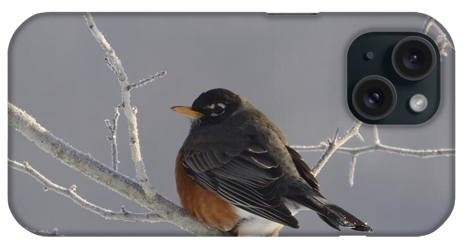 Springtime iPhone Case featuring the photograph Spring ? by Randy Bodkins