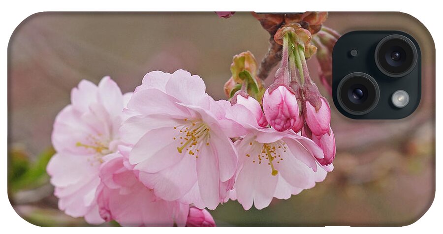 Prott iPhone Case featuring the photograph Spring Blossoms by Rudi Prott