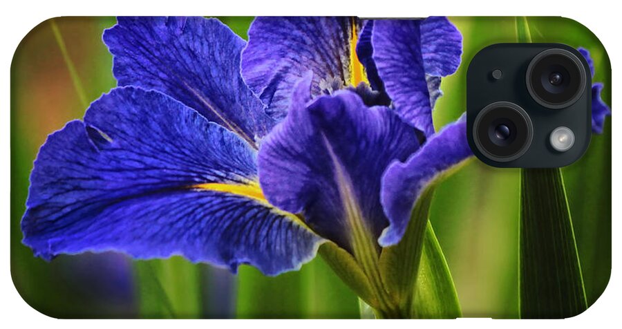 Spring iPhone Case featuring the photograph Spring Blue Iris by Lucy VanSwearingen