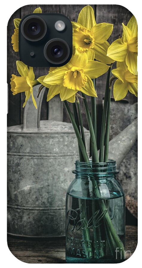 Daffodils iPhone Case featuring the photograph Spring Daffodil Flowers by Edward Fielding