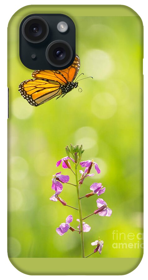 Animal iPhone Case featuring the photograph Spring Delight by Alice Cahill
