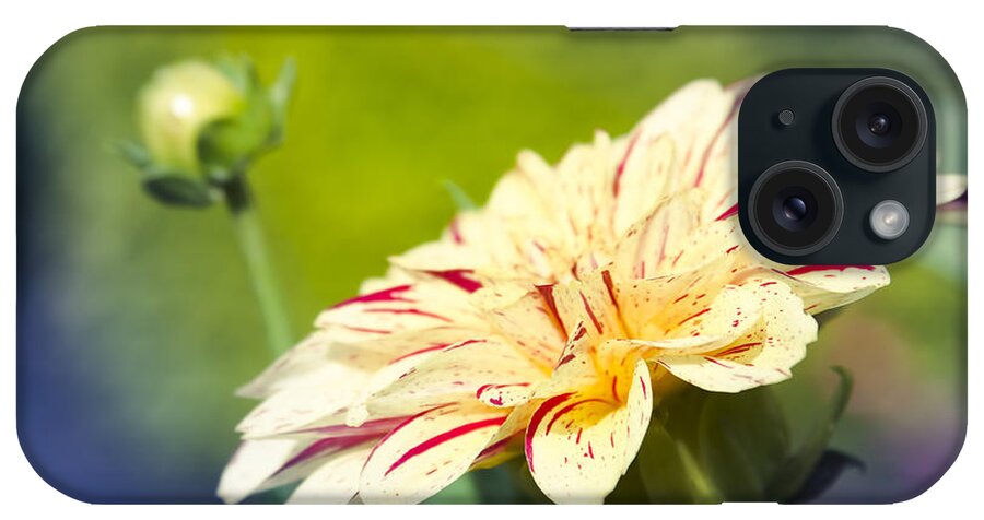Flowers iPhone Case featuring the photograph Spring Dream Jewel Tones by Sharon Mau