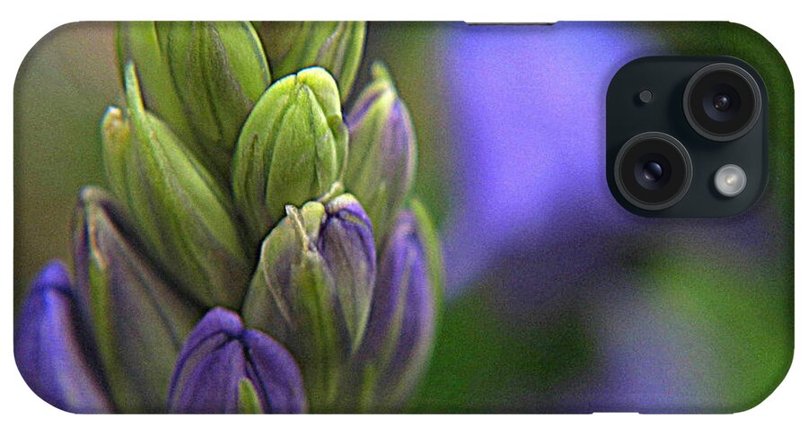 Hyacinth iPhone Case featuring the photograph Spring Expressions by Suzy Piatt