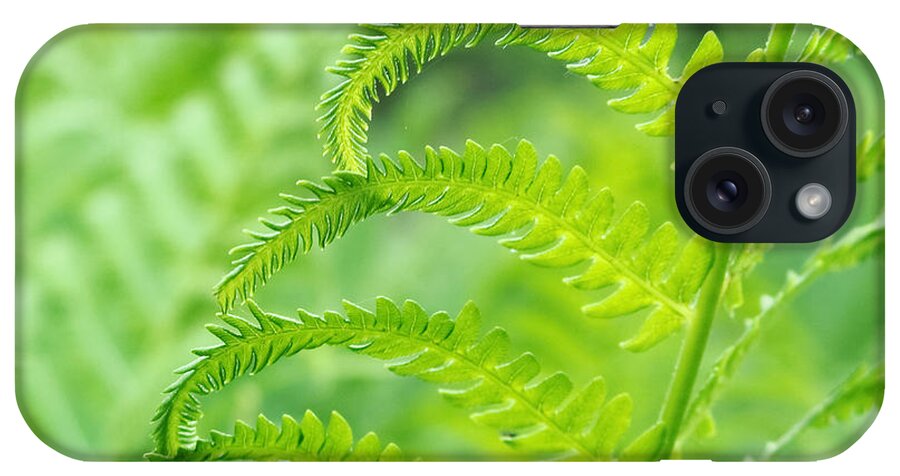 Flowers & Plants iPhone Case featuring the photograph Spring Fern by Lars Lentz