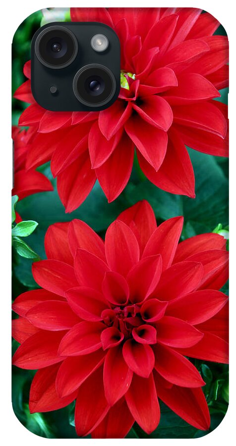 Spring iPhone Case featuring the photograph Spring Flowers 5 by Bob Slitzan