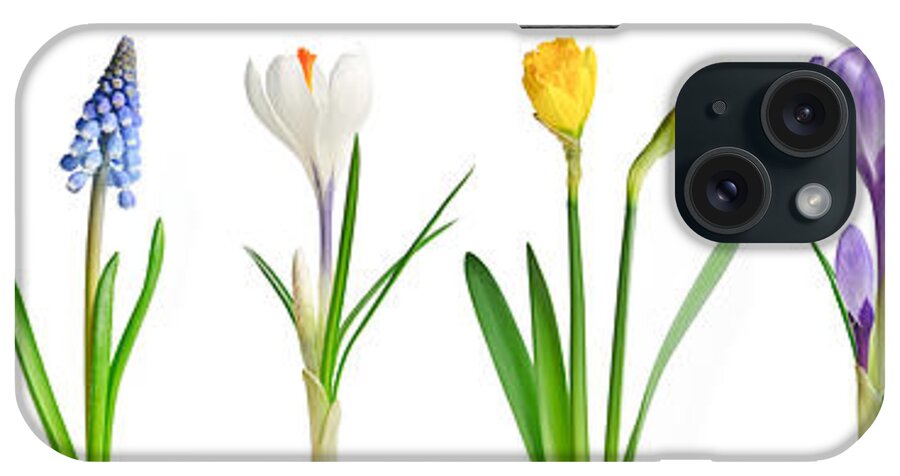 Flowers iPhone Case featuring the photograph Spring flowers 1 by Elena Elisseeva