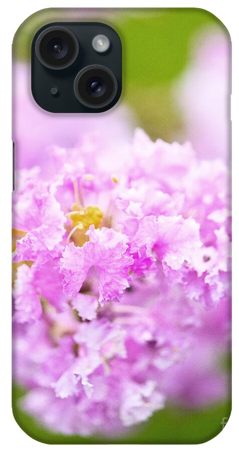 Photography iPhone Case featuring the photograph Spring flowers by Ivy Ho