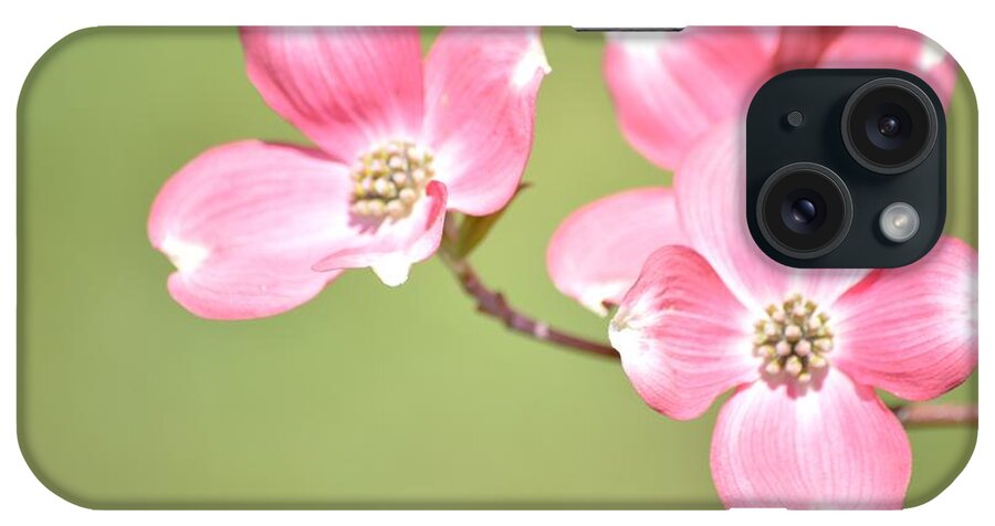 Dogwood Flower iPhone Case featuring the photograph Spring Harbinger by Sonali Gangane