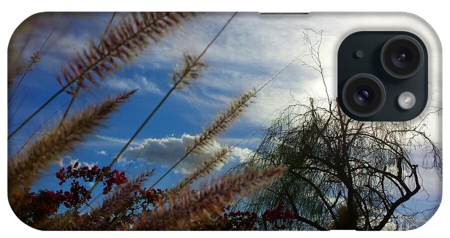 Art iPhone Case featuring the photograph Spring in the Air by Chris Tarpening