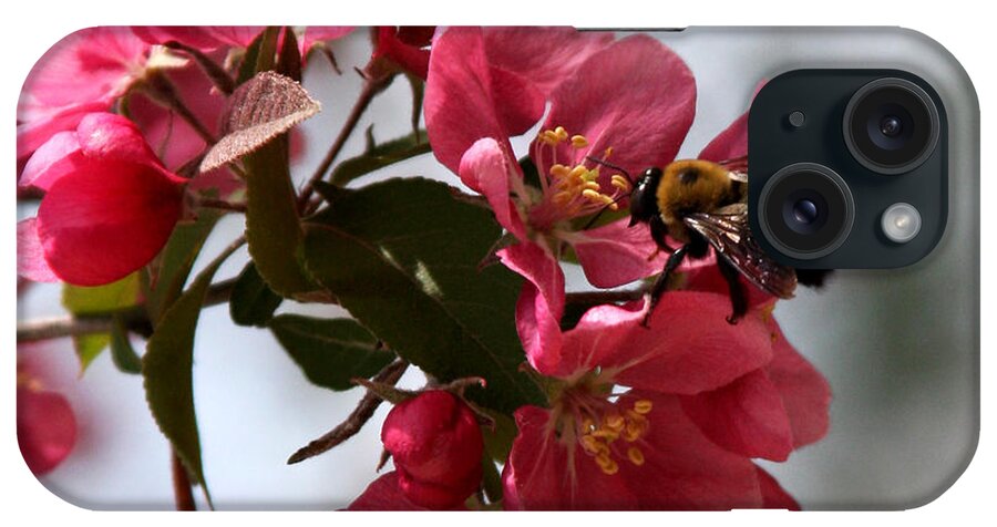 Crabapple iPhone Case featuring the photograph Spring is Here by Vadim Levin