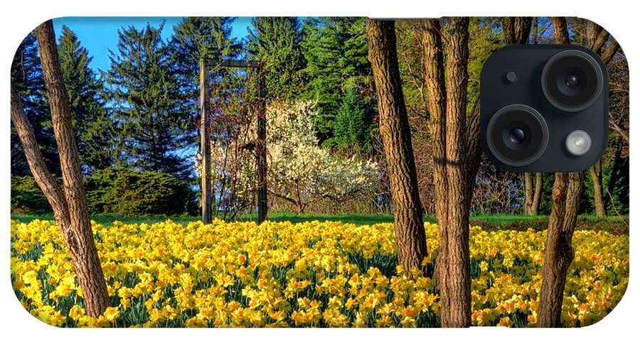 Yellow iPhone Case featuring the photograph Spring Is In The Air by John Absher