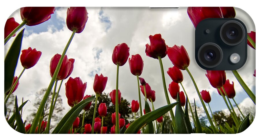 Flowers iPhone Case featuring the photograph Spring is in the Air by Michael Dorn