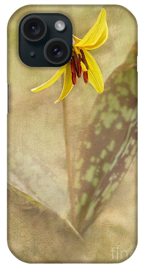 Native iPhone Case featuring the photograph Spring Trout Lily by Marilyn Cornwell