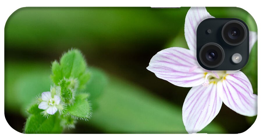 Spring Beauty iPhone Case featuring the photograph Spring Wildflowers by Georgette Grossman