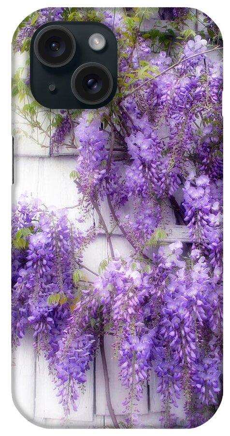 Flowers iPhone Case featuring the photograph Spring Wisteria by Jessica Jenney