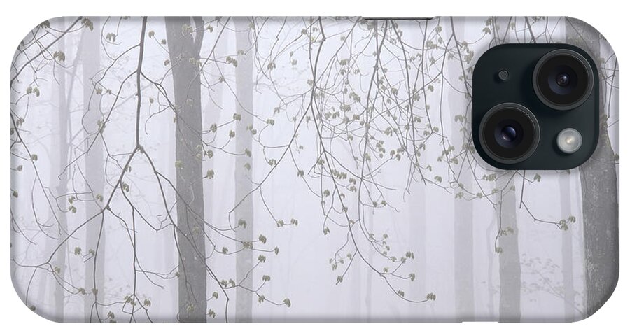 Spring iPhone Case featuring the photograph Spring Woodland Fog 2 by Alan L Graham