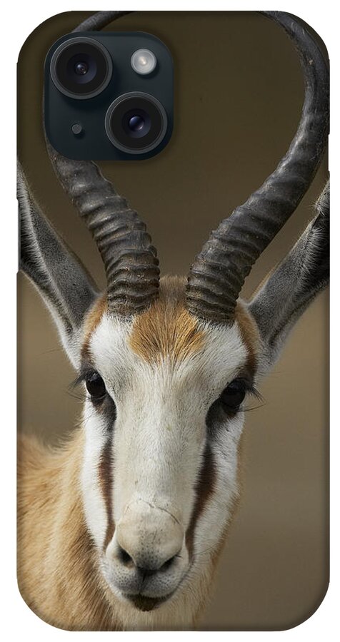 Feb0514 iPhone Case featuring the photograph Springbok Portrait by San Diego Zoo