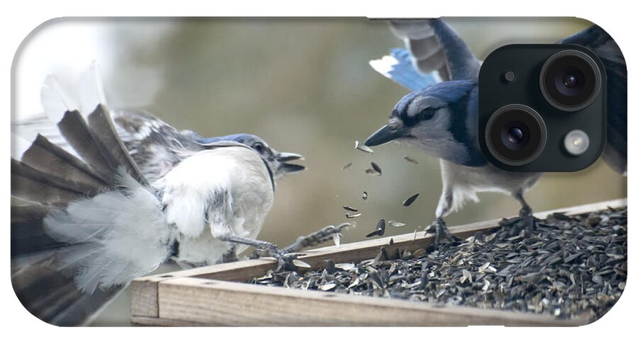 Birds iPhone Case featuring the photograph Squabbling Jays by Ross Powell