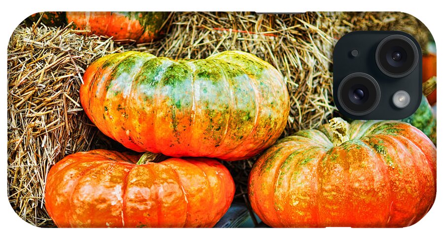 Outdoors iPhone Case featuring the photograph Squatty Orange Pumpkins by Paulette B Wright