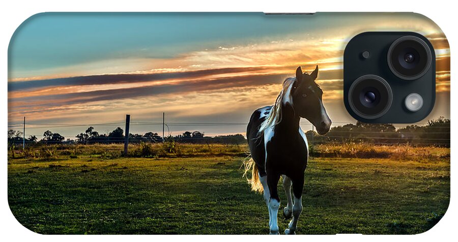 Horse iPhone Case featuring the photograph Stallion Sunset by Patrick Wolf