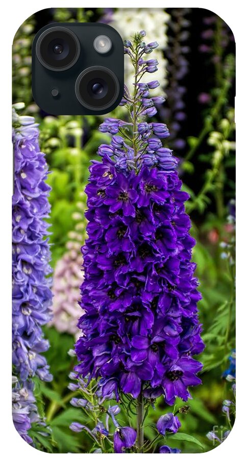 Delphinium iPhone Case featuring the photograph Stand Tall by Peggy Hughes