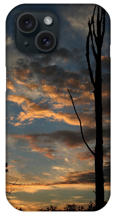 Tree iPhone Case featuring the photograph Standing Tall Among the Trees by Karen Harrison Brown