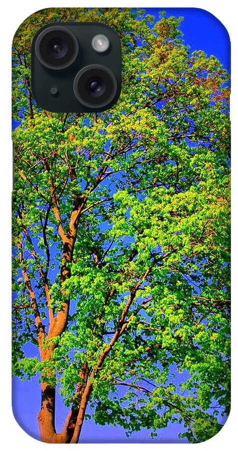 Tree iPhone Case featuring the photograph Standing Tall by Mary Beth Landis