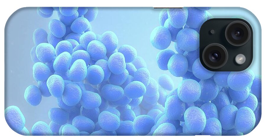Bacteria iPhone Case featuring the photograph Staphylococcus Bacteria by Maurizio De Angelis