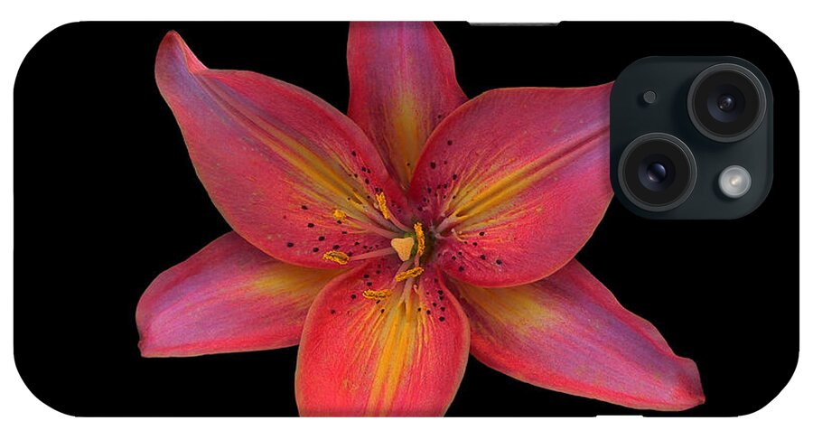 Lily iPhone Case featuring the photograph Starbright by Doug Norkum