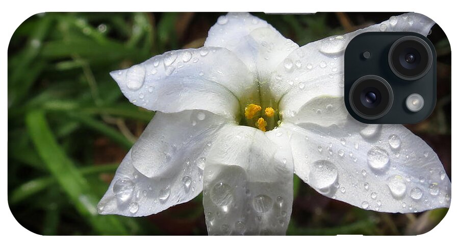 Floral Photography iPhone Case featuring the photograph Starflower by Deborah Smith