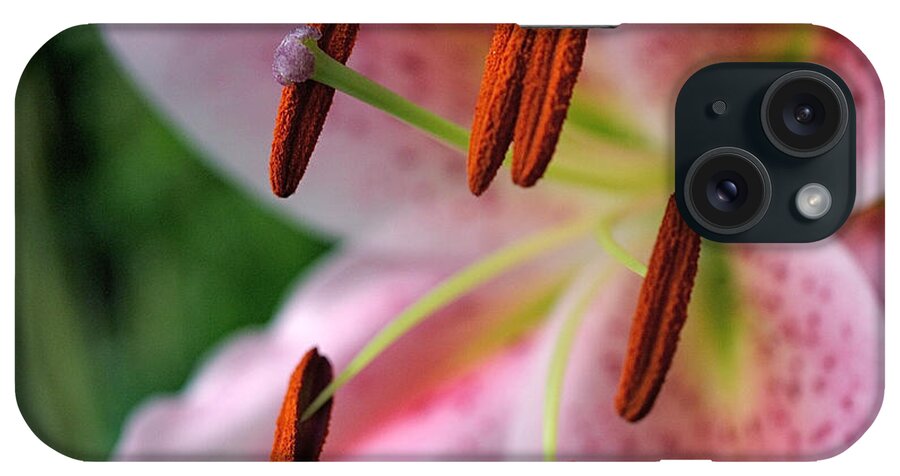 Lilies iPhone Case featuring the photograph Stargazer by Rona Black