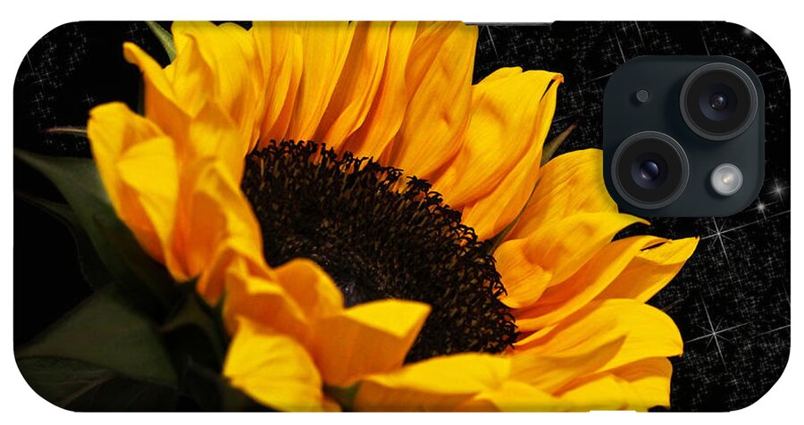 Sunflower iPhone Case featuring the photograph Starlight Sunflower by Judy Vincent