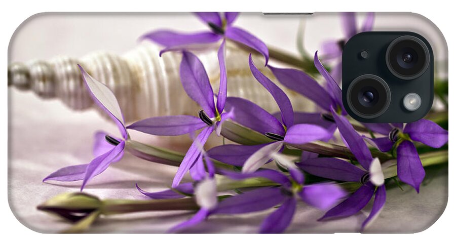 Purple Laurentia Star Flowers iPhone Case featuring the photograph Starshine Laurentia Flowers And White Shell by Sandra Foster