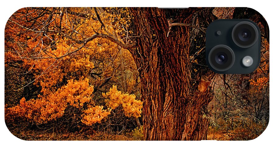 Oak iPhone Case featuring the photograph Stately Oak by Priscilla Burgers