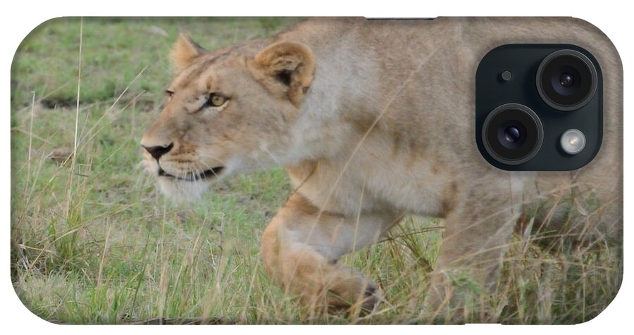 Predator iPhone Case featuring the photograph Stealthy Stalking Lioness by Tom Wurl