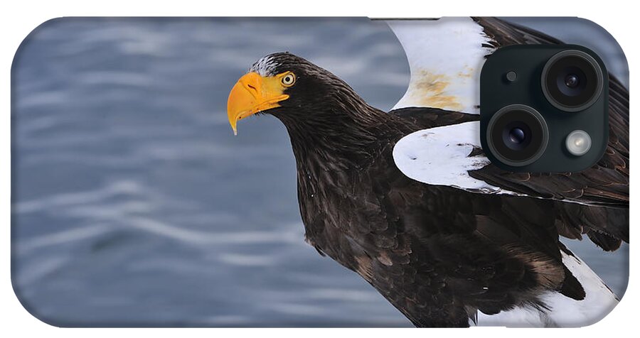 Thomas Marent iPhone Case featuring the photograph Stellers Sea Eagle Taking Flight by Thomas Marent