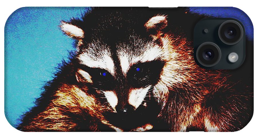 Raccoon iPhone Case featuring the photograph Stick em Up by Derek Dean