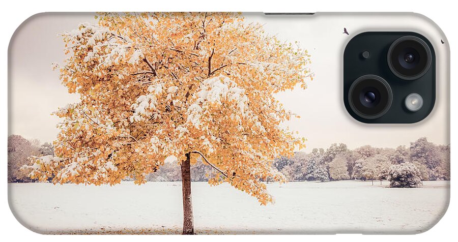 Autumn iPhone Case featuring the photograph Still Dressed In Fall by Hannes Cmarits