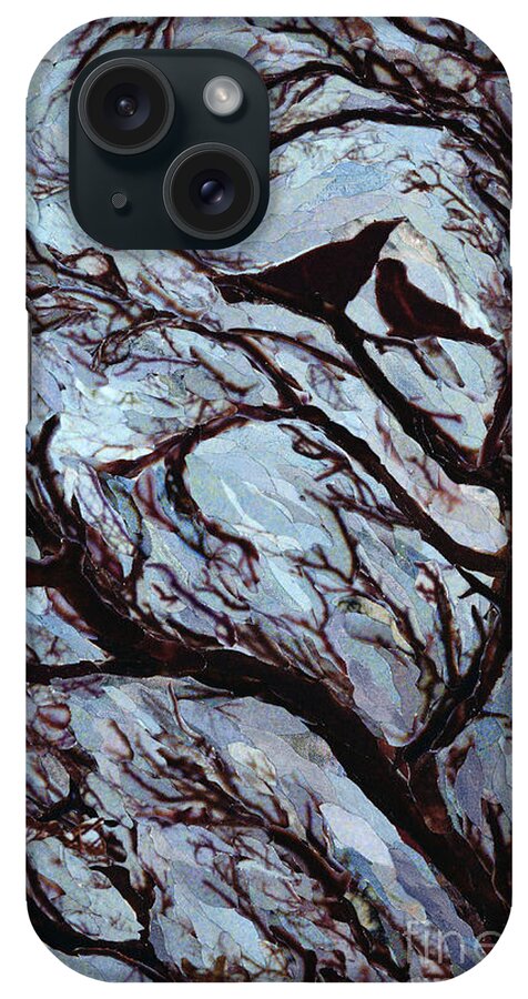 Tree iPhone Case featuring the mixed media Stormy Day Greenwich Park by Ellen Golla