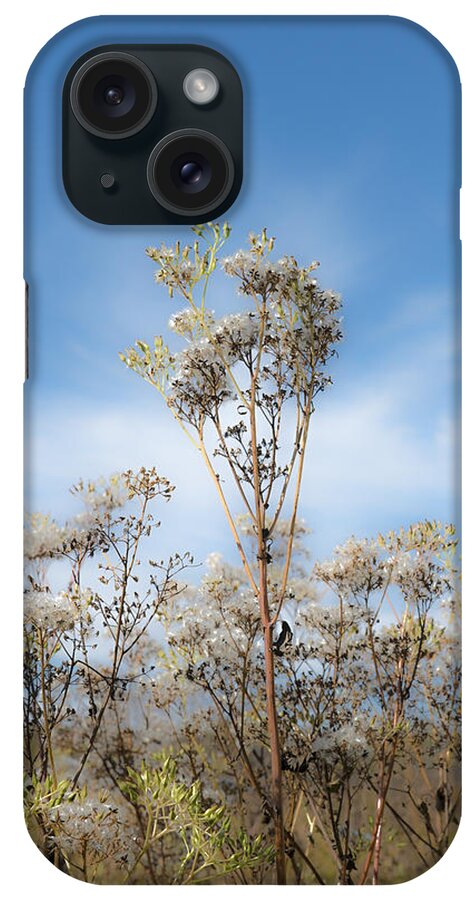 Blue iPhone Case featuring the photograph Strands of Silver by Ben Thompson