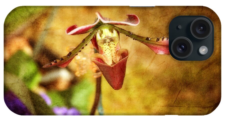 Flower iPhone Case featuring the photograph Stranger in the Garden by Joan Bertucci